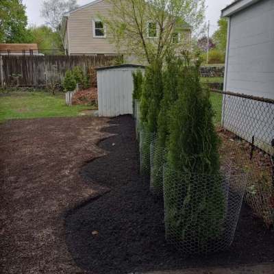 Our Work