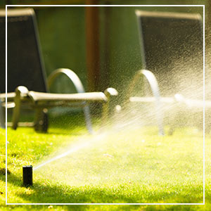 Sprinkler System